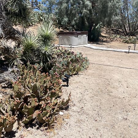 Mojave Desert Pied-A-Terre يوككا فالي المظهر الخارجي الصورة