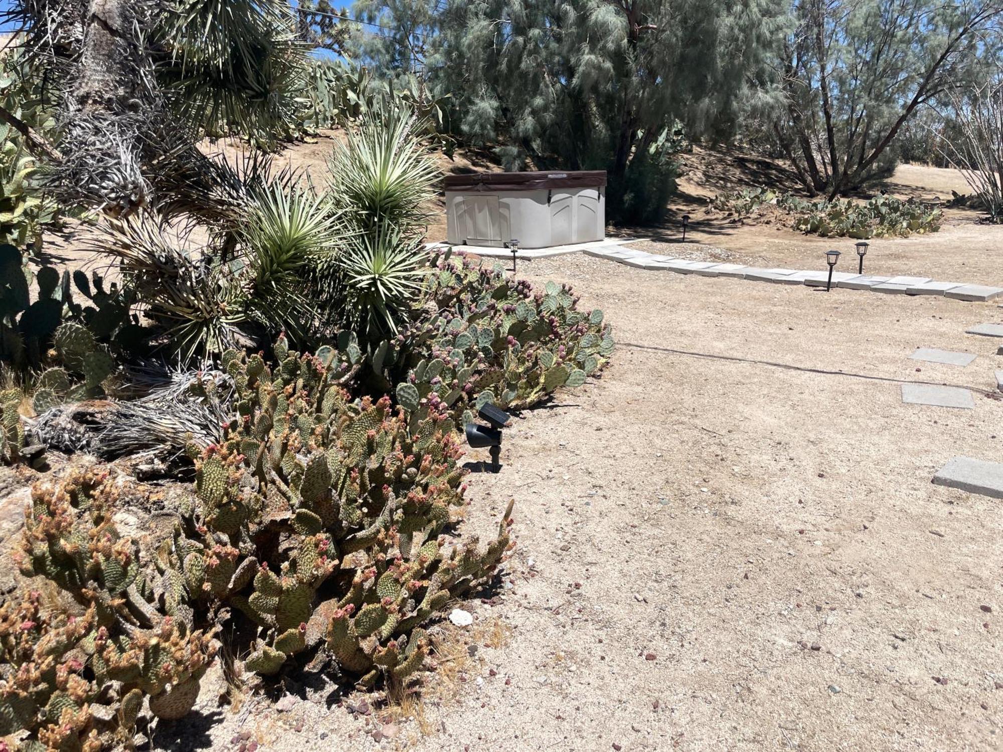 Mojave Desert Pied-A-Terre يوككا فالي المظهر الخارجي الصورة